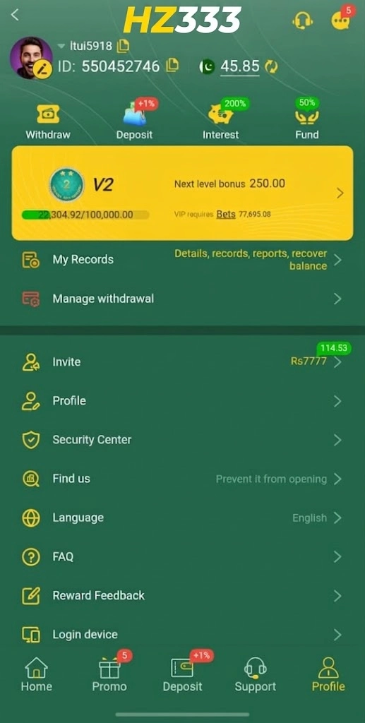 HZ333 Profile